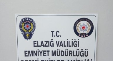 Elazığ'da huzur ve güven uygulaması: 2 bin 924 şahıs denetlendi