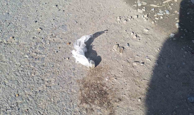 Esenler'de uyuşturucu satıcısı kovalama sonucu yakalandı