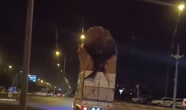Eve değil, kamyonete 4 kat çıktı: Görenler hayrete düştü