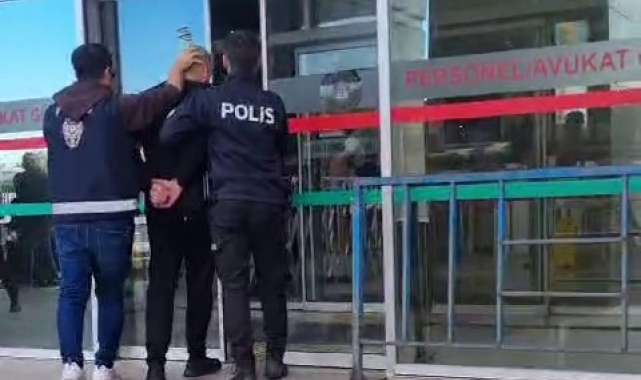Fatih'te kedileri toplayan kişinin işyerinden çok sayıda ölü kedi çıktı