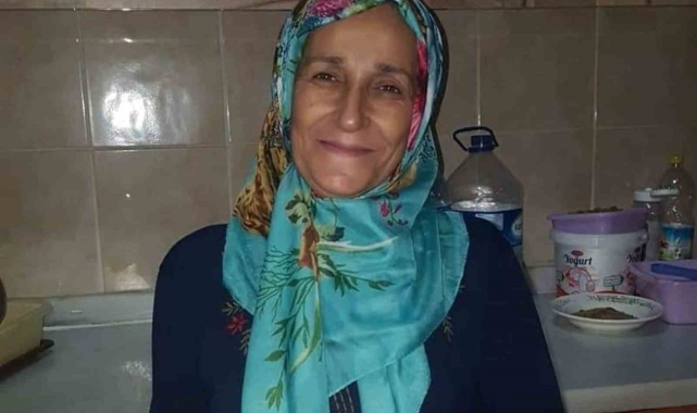 Fındık bahçesinde düşen kadın hayatını kaybetti