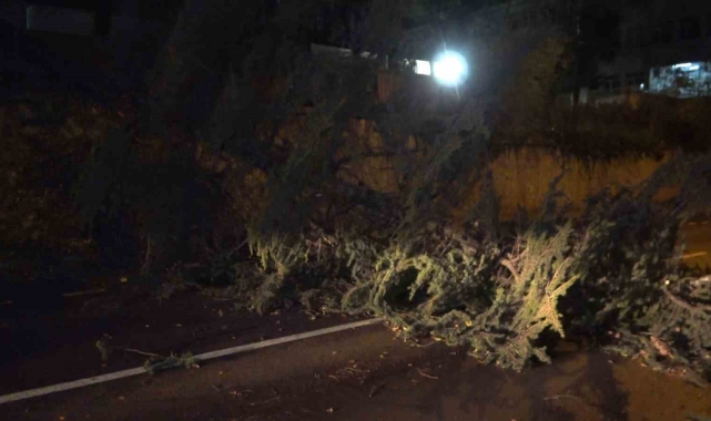 Fırtına Bursa'yı yıktı geçti...Otobüsün üzerine uçan çatı 2 yolcuyu yaraladı