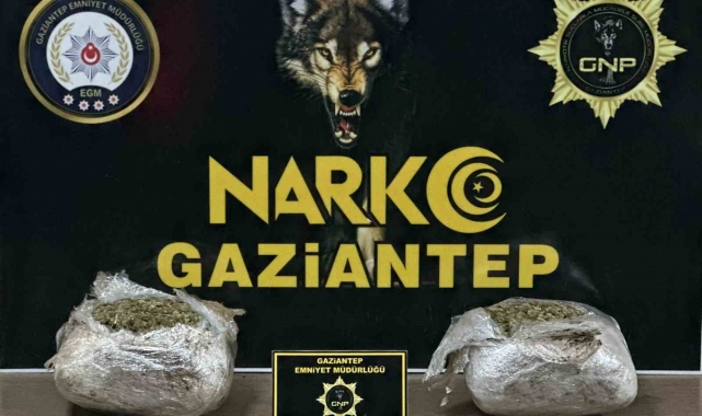 Gaziantep'te 1.5 kilogram skunk ele geçirildi