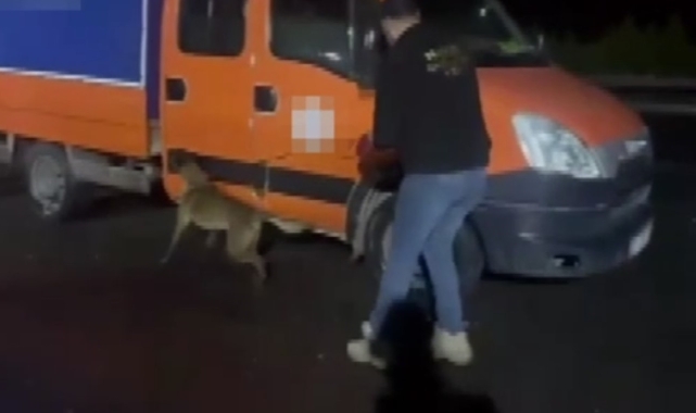 Gaziantep'te 28 kilo skunk ele geçirildi: 2 tutuklama