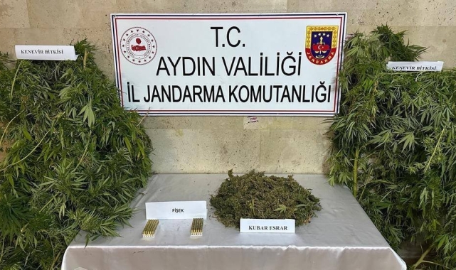 Germencik'te uyuşturucu operasyonu