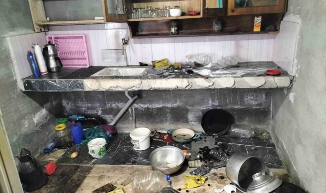 Giresun'da aç kalan ayılar yayla evlerine girdi