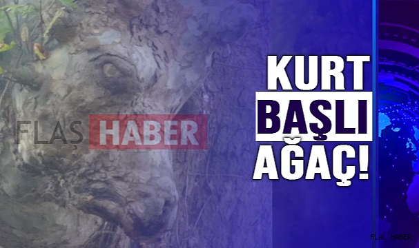 GÖRENLERİ ŞAŞIRTTI!