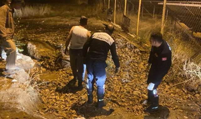 Gübre yığınında mahsur kalan inek itfaiye ekiplerince kurtarıldı