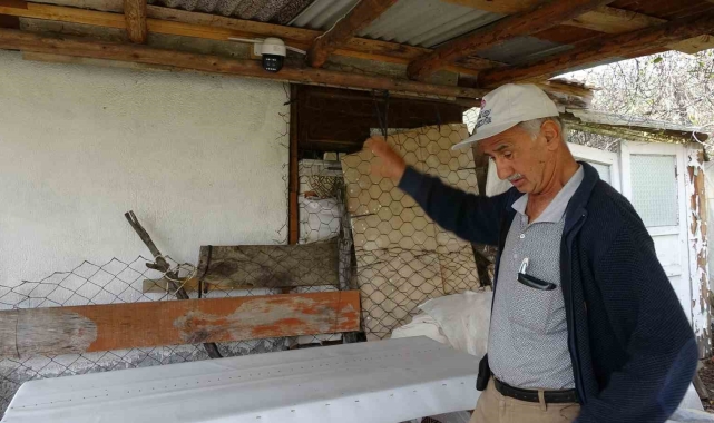 Güvenlik kamerasına zarar veren ayı görüntülere yansıdı