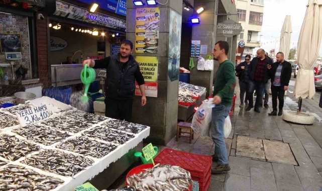 Hamsi sezonu sürüyor, palamut sezonu ise bitti