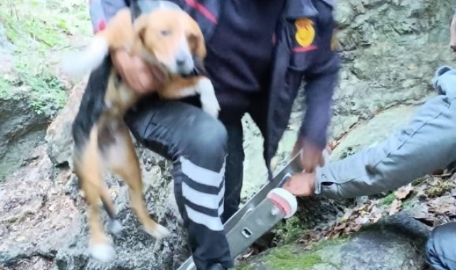 Hatay'da kuyuya düşen köpeği, itfaiye kurtardı