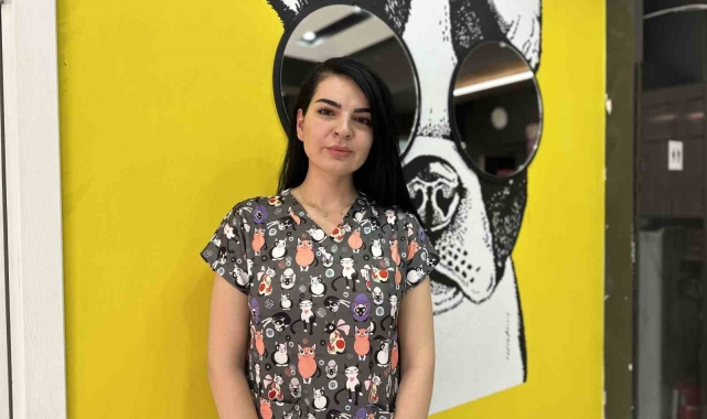 Hayvanlara yardım etmek isterken dikkat edin