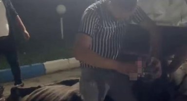 İneğe zorla alkol içirdiler