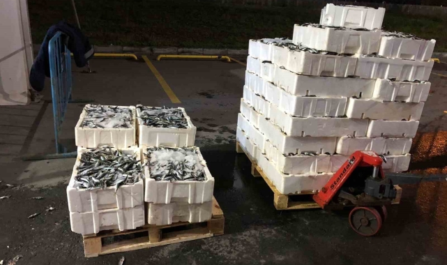 İstanbul'da kaçak avcılık yapan 24 kişiye 193 bin 246 TL idari para cezası kesildi