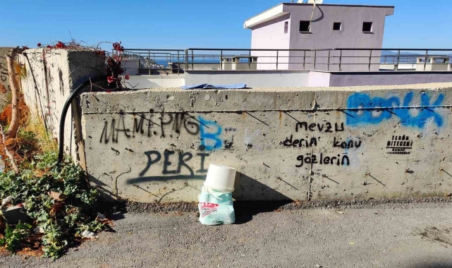 İstinat duvarından atlayan kadın hayatını kaybetti