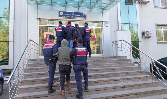 Jandarma 120 kilo zeytin çalan 3 şüpheliyi yakaladı