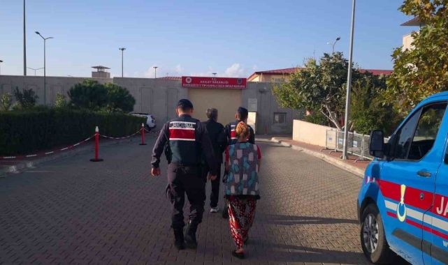 Jandarma devriyelerinden zeytin hırsızlarına darbe