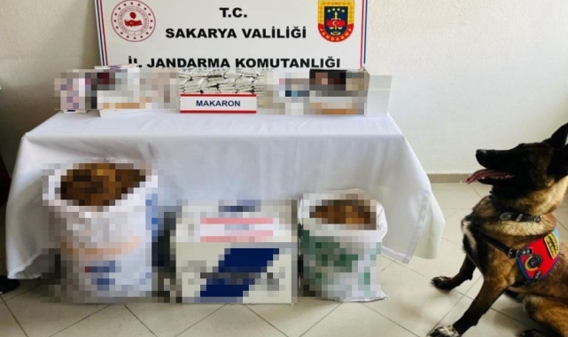 Jandarmadan kaçakçılık operasyonu: 2 gözaltı