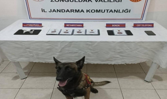 Jandarmadan uyuşturucu operasyonu 8 gözaltı
