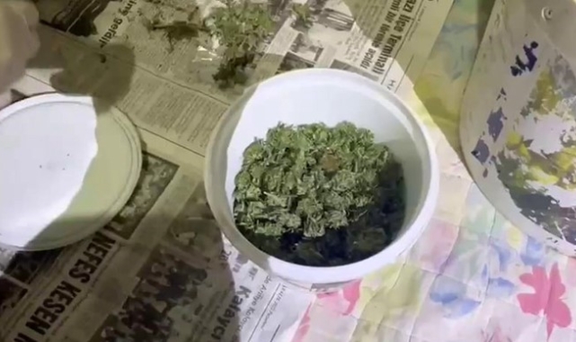 Jandarmadan uyuşturucuya geçit yok: 6 gözaltı