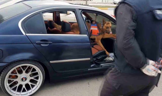 Jandarmanın şüphelendiği araçta uyuşturucu çıktı