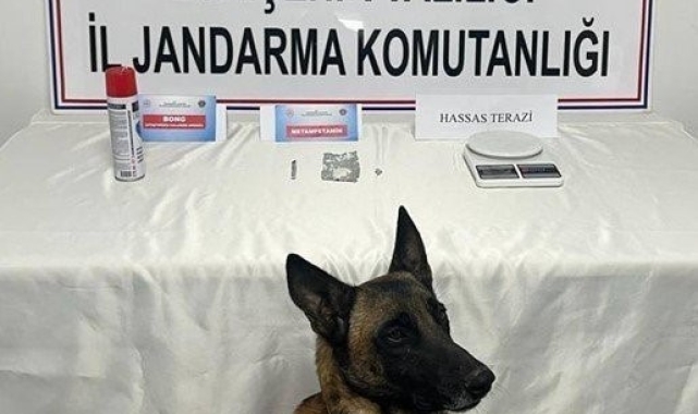 Jandarmanın uyuşturucu ile mücadelesinde 2 şahıs tutuklandı