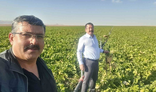 Karapınar'da mısır ve şekerpancarı mesaisi