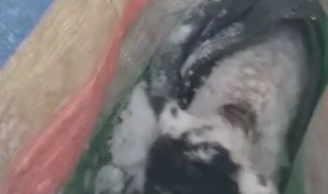 Karlı havada yayladan göçerken unutulan kuzuyu kurtarmak için seferber oldular