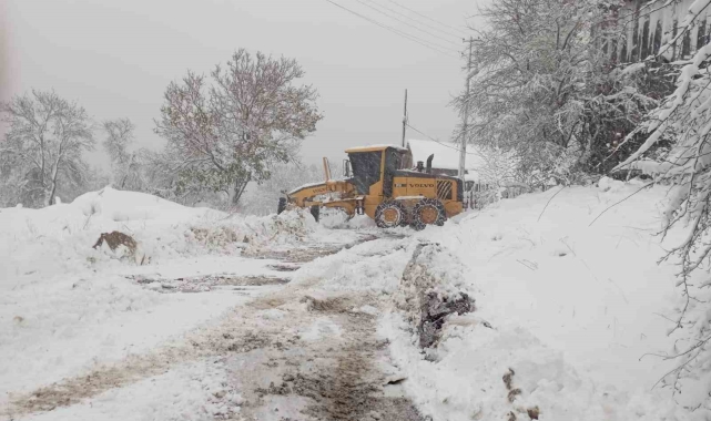 Kastamonu'da karın kapattığı 39 köy yolu açıldı