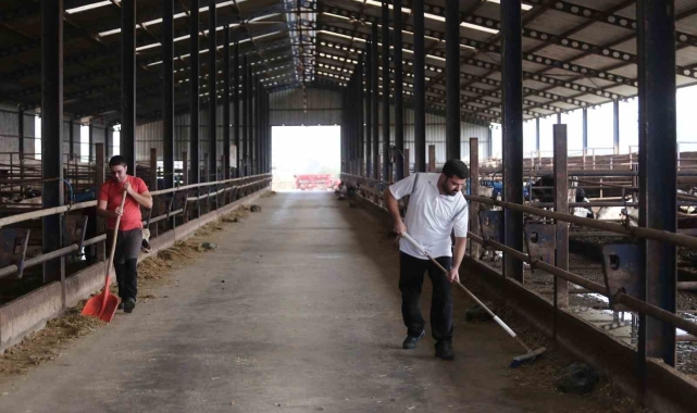 Kendi kendine yeten çiftlik kurdular, ucuz etin formülünü buldular