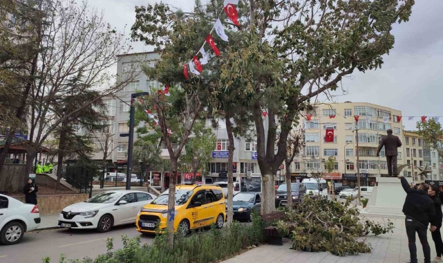 Keşan'da şiddetli rüzgar nedeniyle ağaçların dalları kırıldı