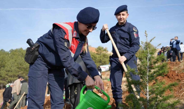 Kırıkkale'de "100. Yıl Cumhuriyet Ormanı" oluşturuldu