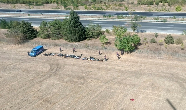 Kırklareli'nde 890 kaçak göçmen yakalandı