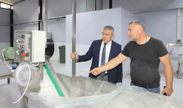 Köşk Belediyesi Kestane Tesisi, açılmak için gün sayıyor