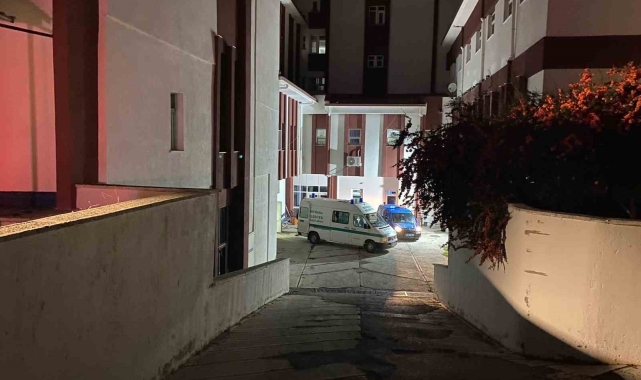 Koyunlarına kamyon çarpmasın diye hayatından oldu