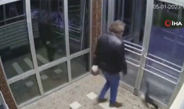 Küçükçekmece'de kediyi darp eden sanık hakkında mütalaa: 6 yıl hapsi istendi
