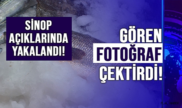 LEVREK FİYATIYLA GÖZ KAMAŞTIRDI