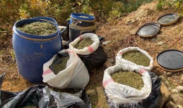 Lice'de terörün finans kaynağına darbe: 1 ton 168 kilo esrar ele geçirildi