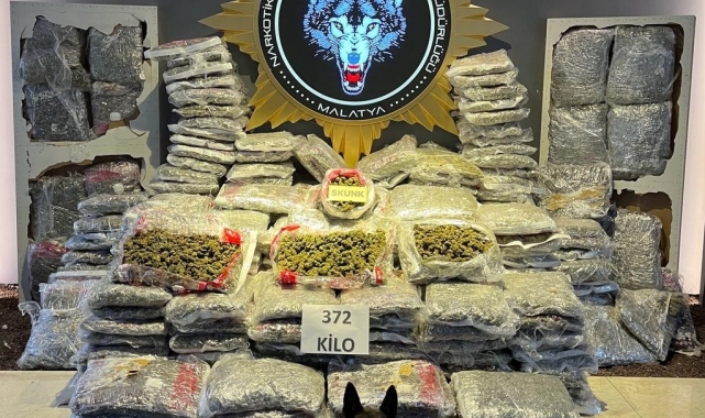Malatya'da 372 kilo skunk ele geçirildi