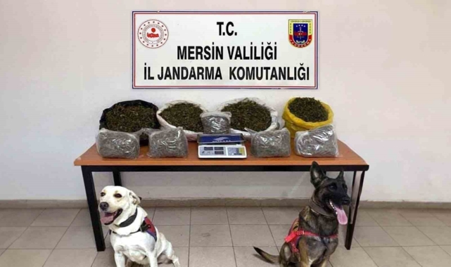 Mersin'de uyuşturucu ticareti yapan 4 şüpheli yakalandı