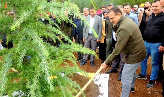 Muğla'da 79 noktada 62 bin 236 fidan dikimi gerçekleştirildi