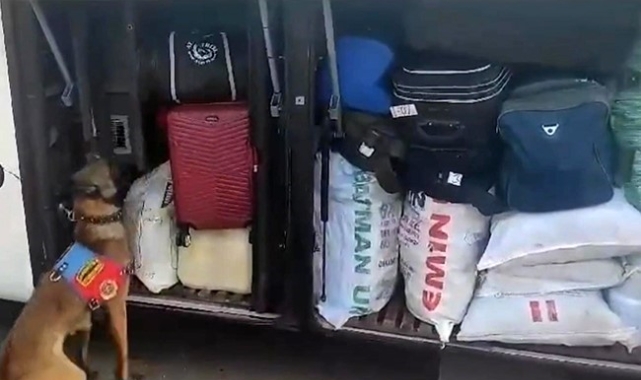 Narkotik köpeği uyuşturucu ticaretine geçit vermedi