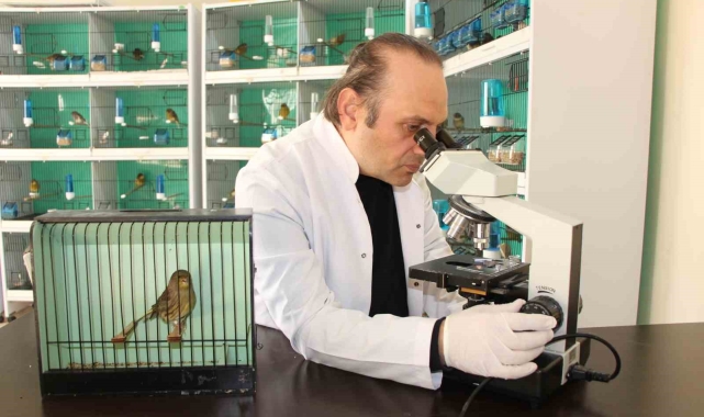 Nesli tükenme tehlikesindeki yabani ispinoz kuşları korumaya yönelik projeye destek