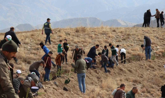 Oltu'da fidan dikimi etkinliği