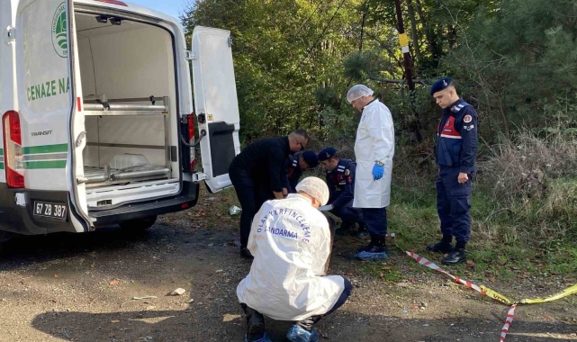 Ormanda bulunan cesedin ardından 6 şüpheli gözaltında