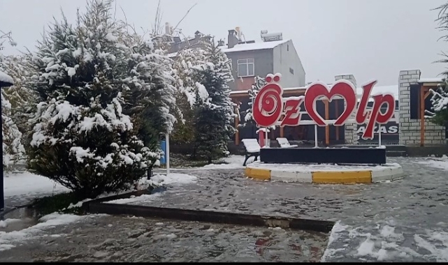 Özalp'a mevsimin ilk karı yağdı