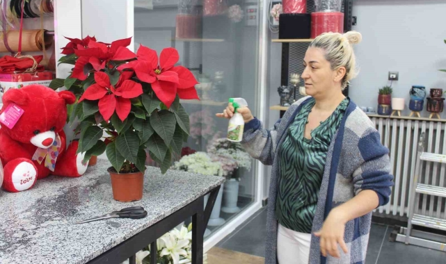 Özel gün yaklaşırken en çok bu çiçek satılıyor