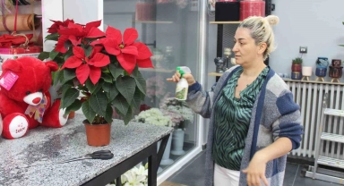 Özel gün yaklaşırken en çok bu çiçek satılıyor