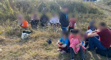 Pamuk tarlasına gizlenmiş düzensiz göçmenler yakalandı
