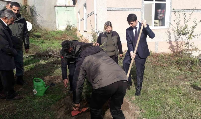 Pazaryeri'nde fidanlar toprakla buluştu
